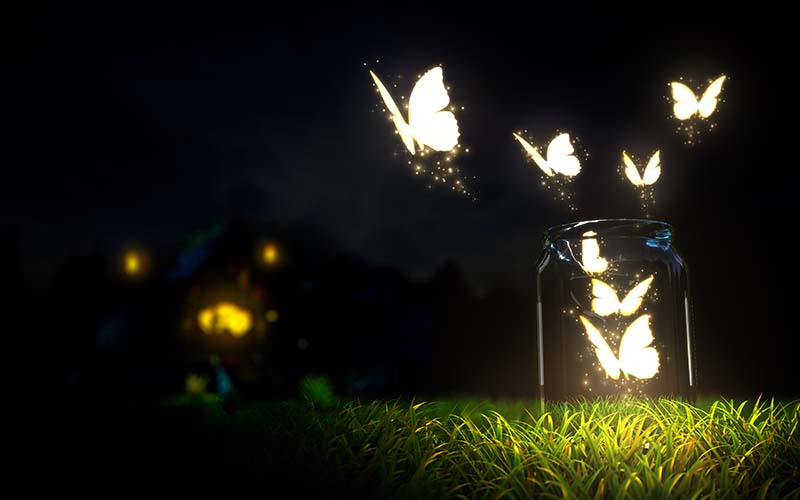 butterflies emerging from jar